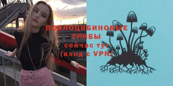 героин Богданович