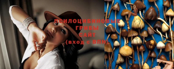 jwh Богородск