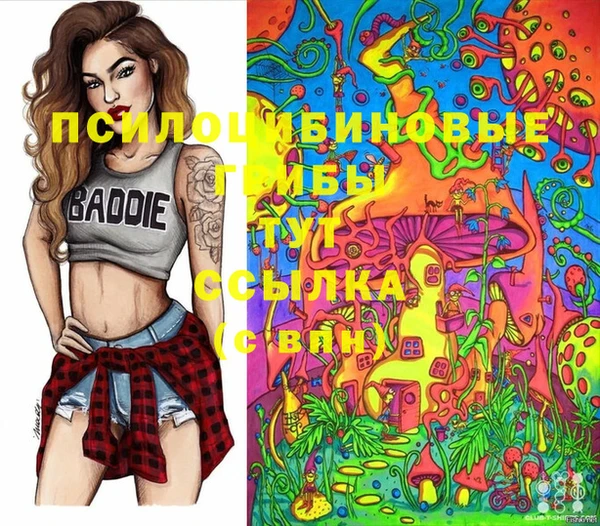кокаин премиум Чекалин