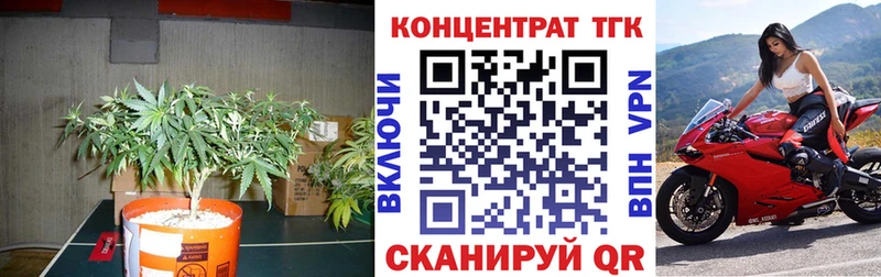 ТГК концентрат  сколько стоит  Мостовской 