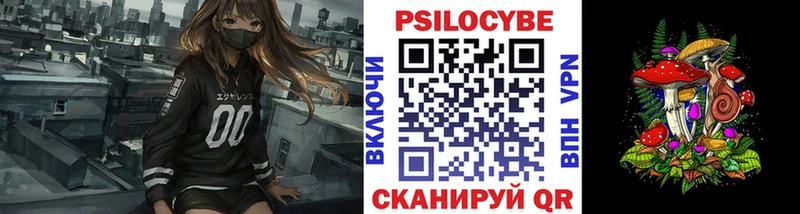 продажа наркотиков Мостовской Галлюциногенные грибы Magic Shrooms